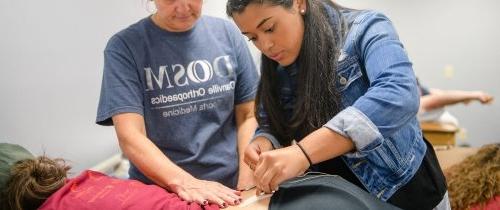 Student gaining hands-on experience in physical therapy
