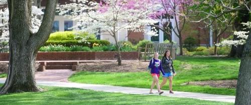 spring on campus students walking in front of Sutcliffe
